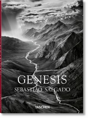 Genesis 封面
