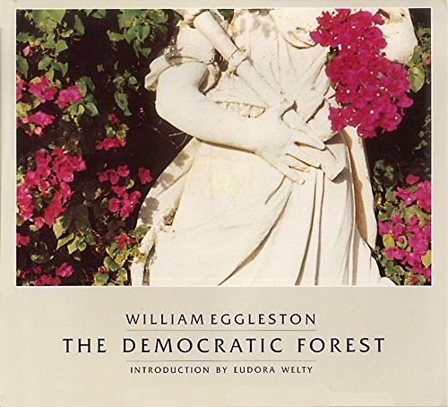 The Democratic Forest 封面